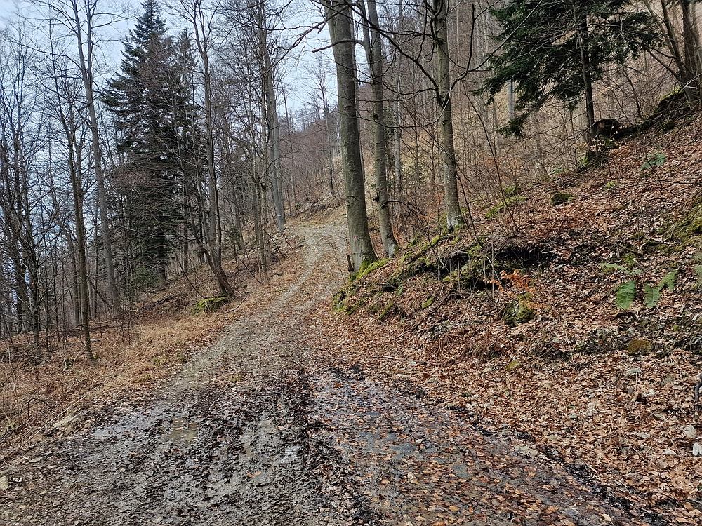 Slika je vidna v Google Chromu.