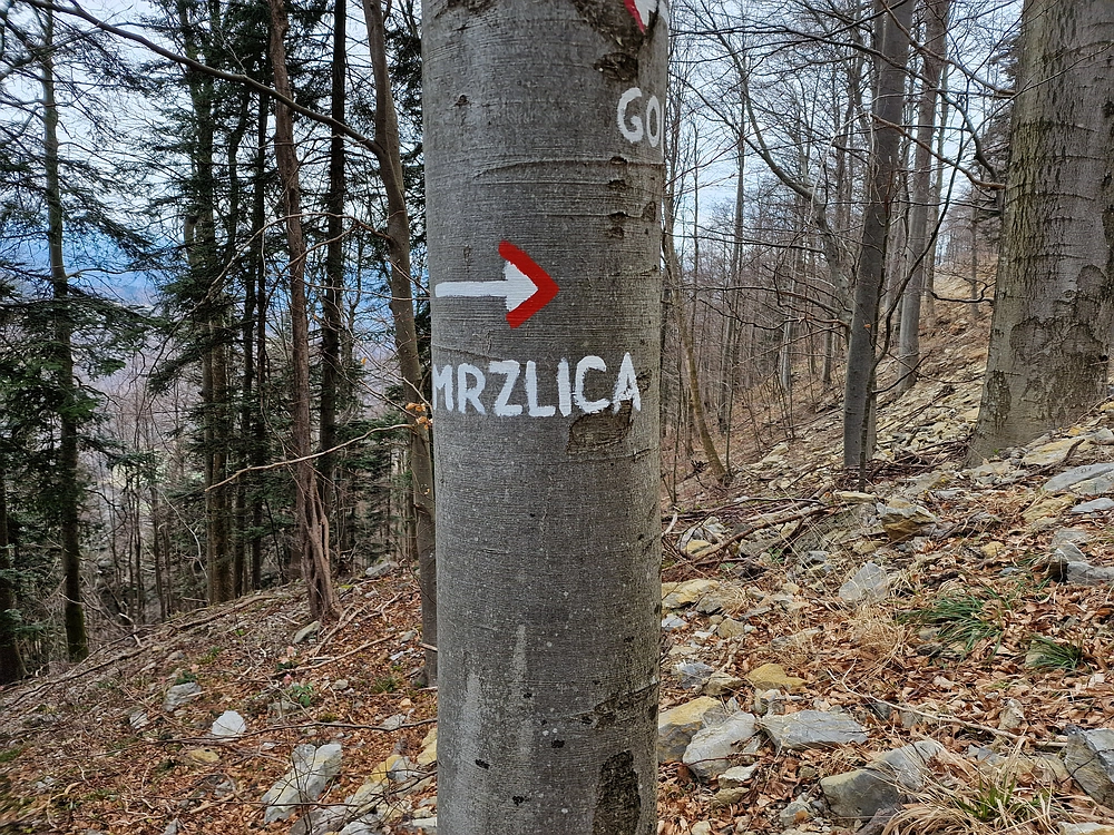 Slika je vidna v Google Chromu.