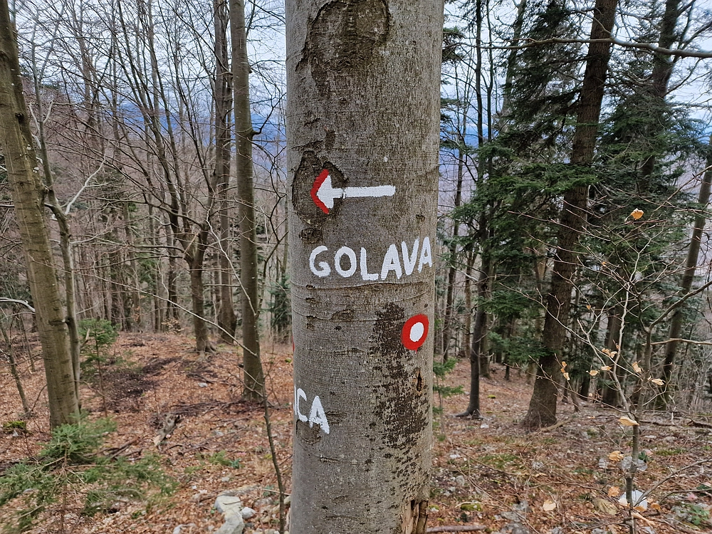 Slika je vidna v Google Chromu.