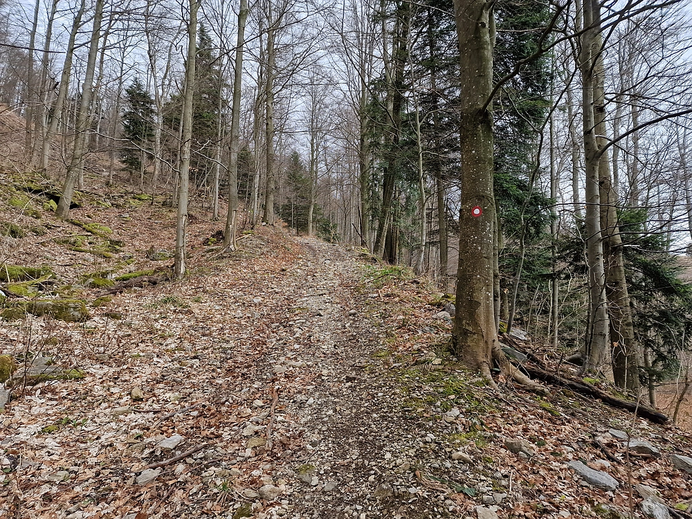 Slika je vidna v Google Chromu.