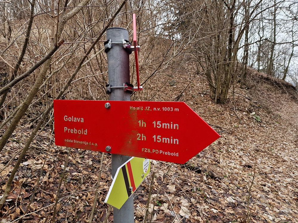 Slika je vidna v Google Chromu.