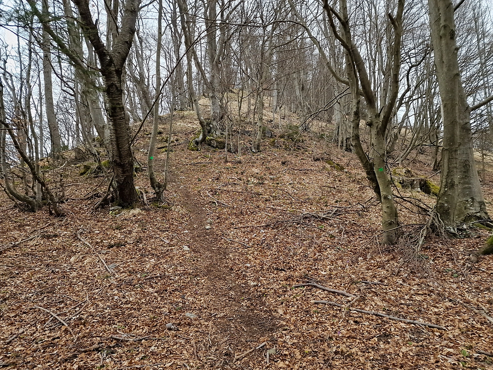 Slika je vidna v Google Chromu.