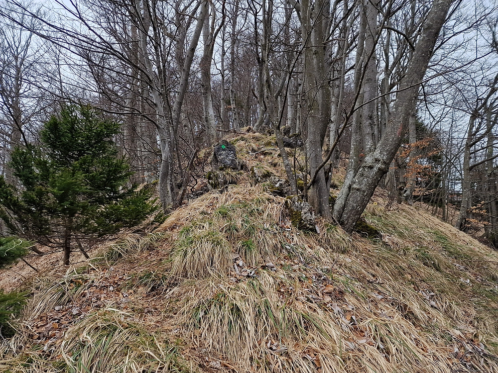 Slika je vidna v Google Chromu.