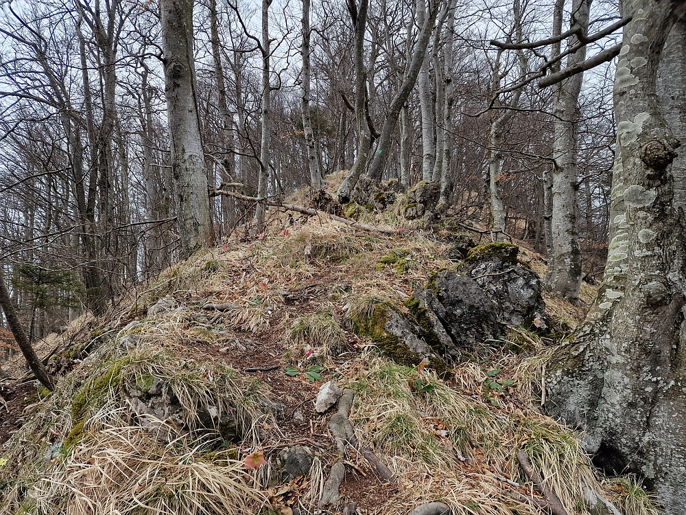 Slika je vidna v Google Chromu.