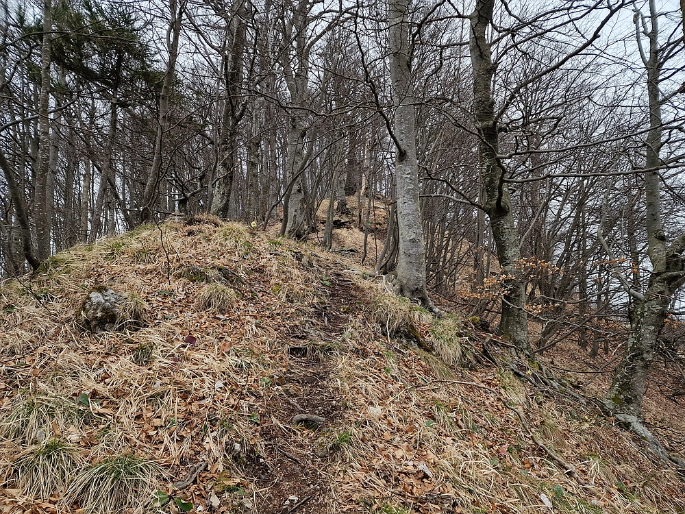 Slika je vidna v Google Chromu.