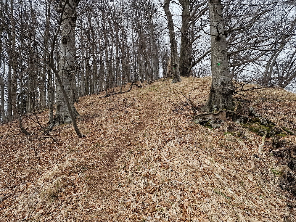 Slika je vidna v Google Chromu.