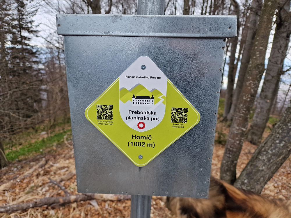 Slika je vidna v Google Chromu.