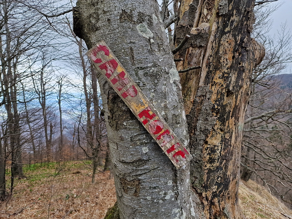 Slika je vidna v Google Chromu.