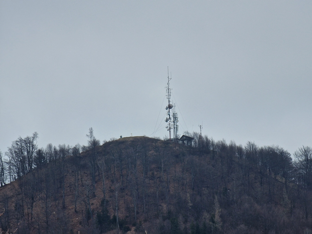 Slika je vidna v Google Chromu.