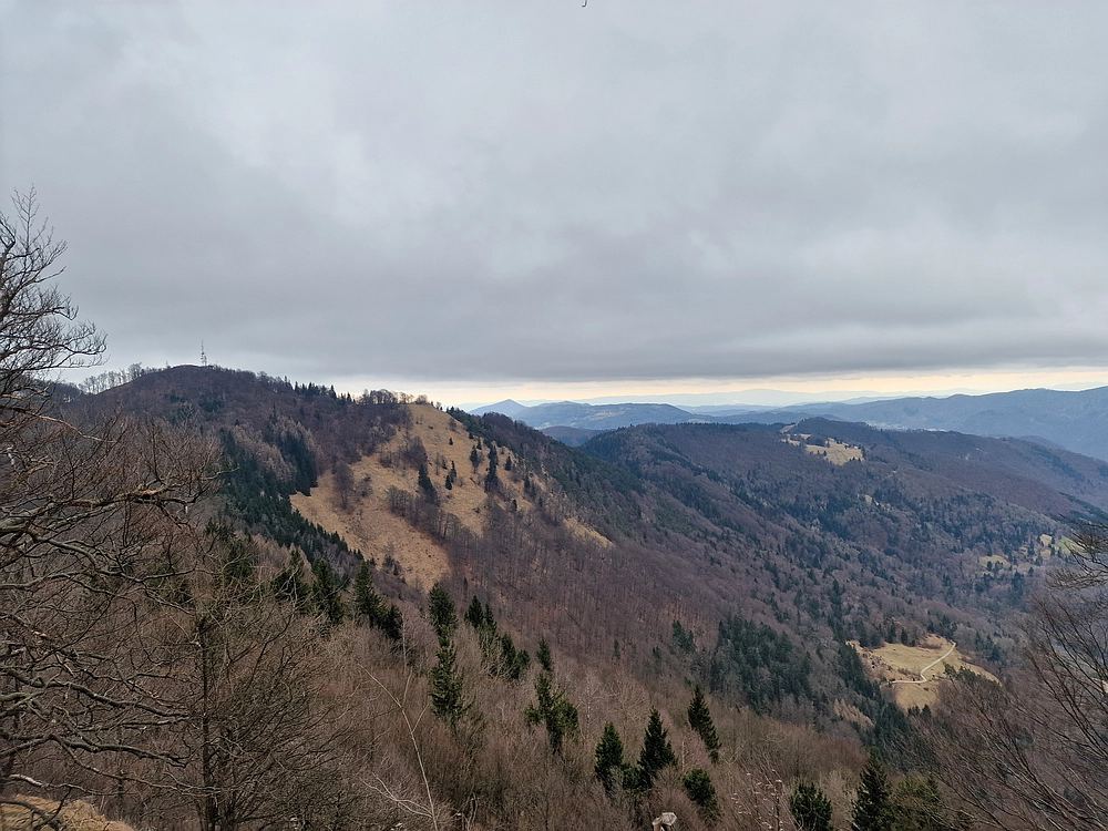 Slika je vidna v Google Chromu.