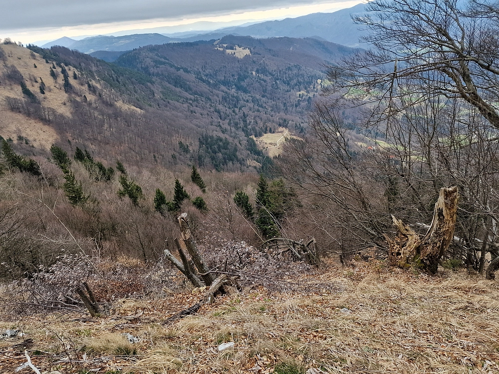 Slika je vidna v Google Chromu.