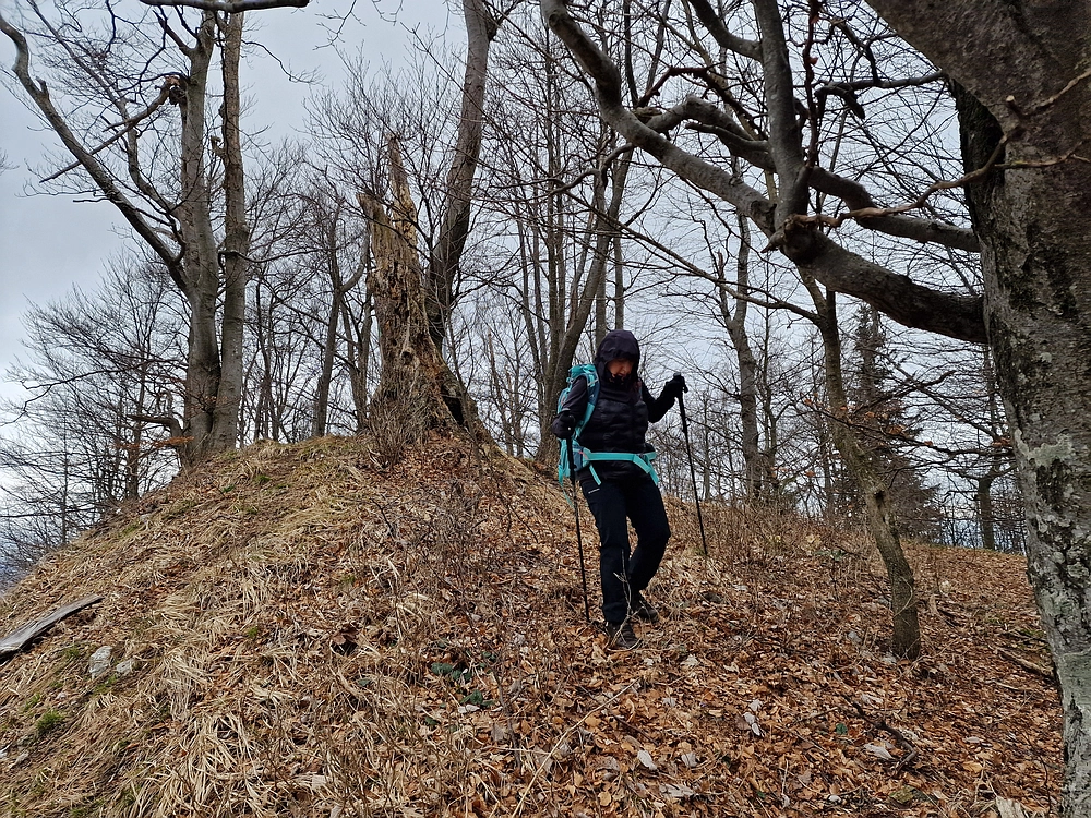 Slika je vidna v Google Chromu.