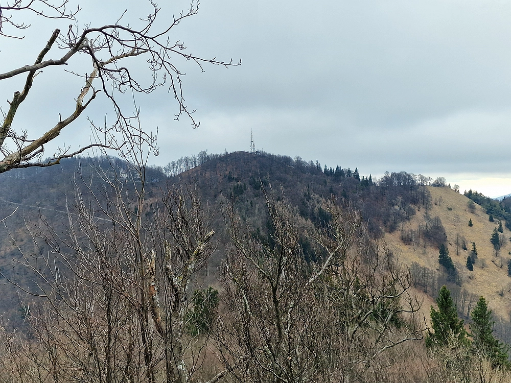 Slika je vidna v Google Chromu.