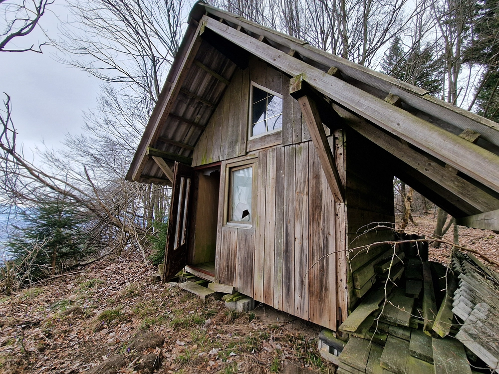 Slika je vidna v Google Chromu.