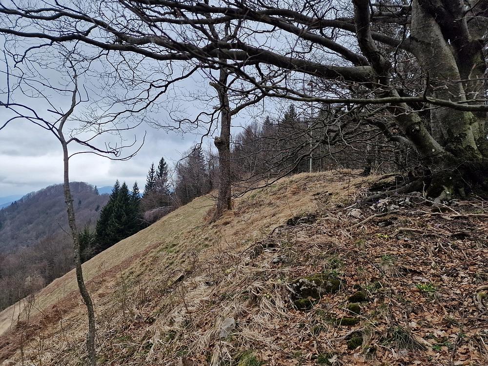 Slika je vidna v Google Chromu.