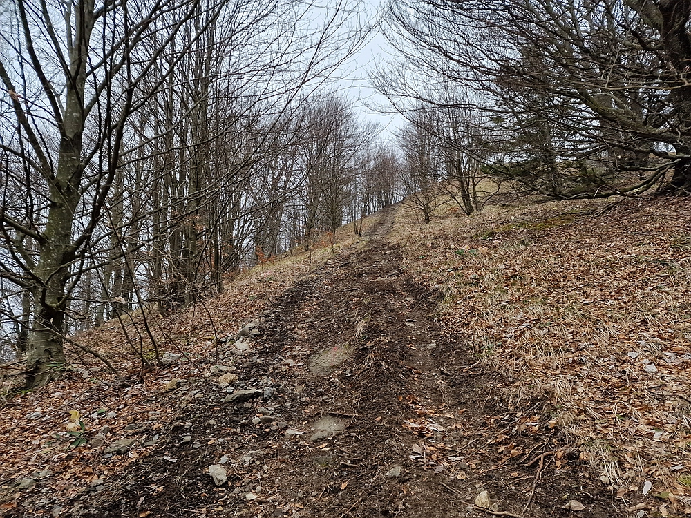 Slika je vidna v Google Chromu.
