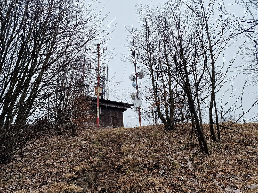 Slika je vidna v Google Chromu.