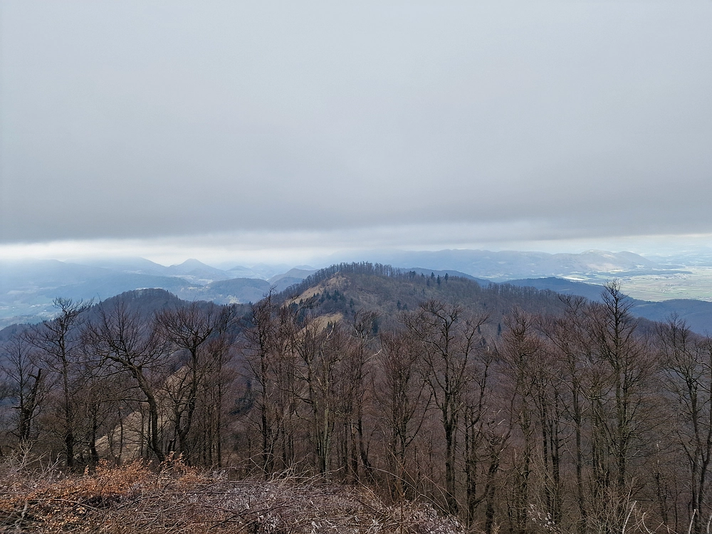 Slika je vidna v Google Chromu.