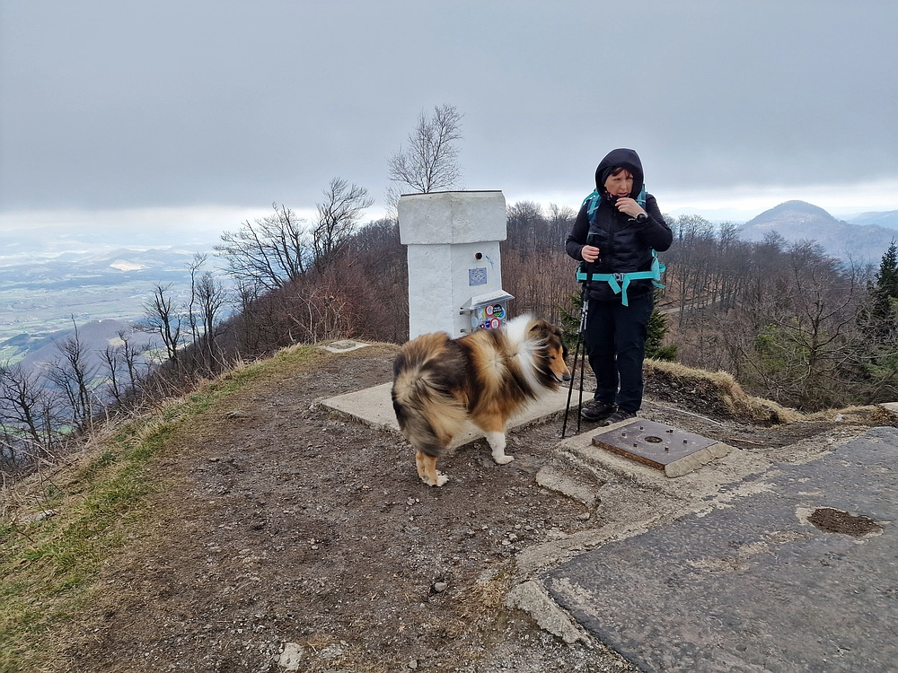 Slika je vidna v Google Chromu.