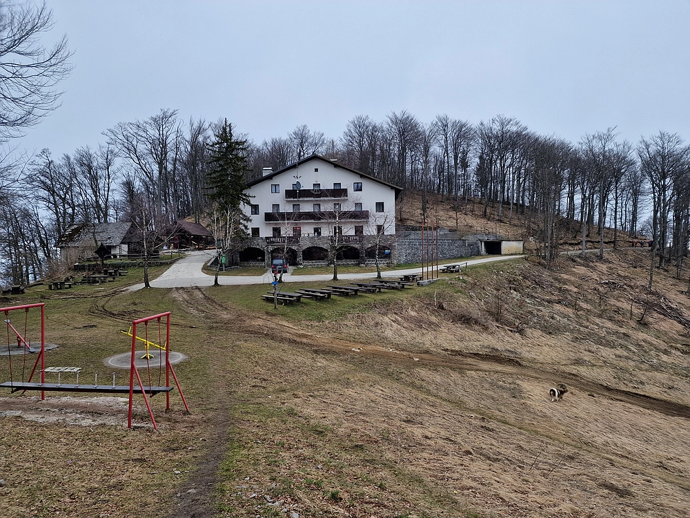 Slika je vidna v Google Chromu.