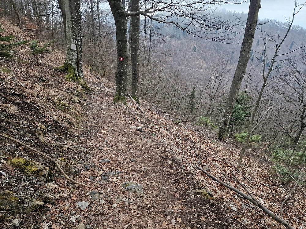 Slika je vidna v Google Chromu.