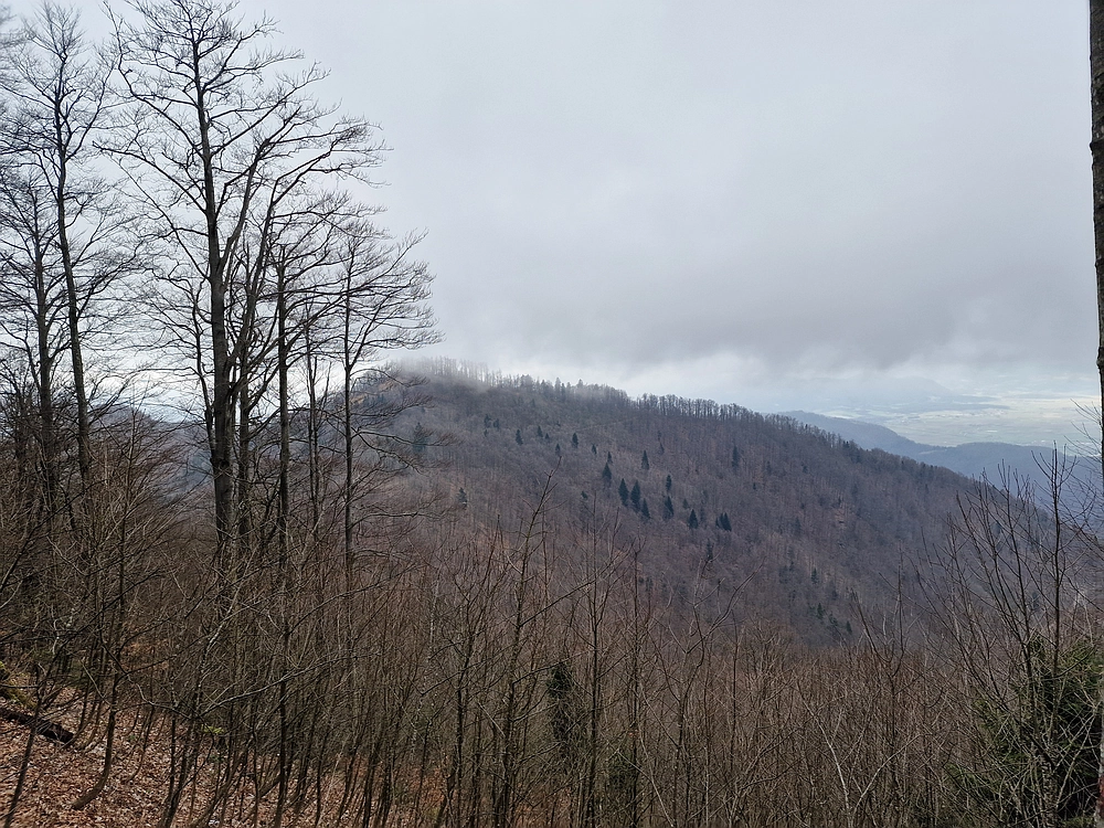 Slika je vidna v Google Chromu.
