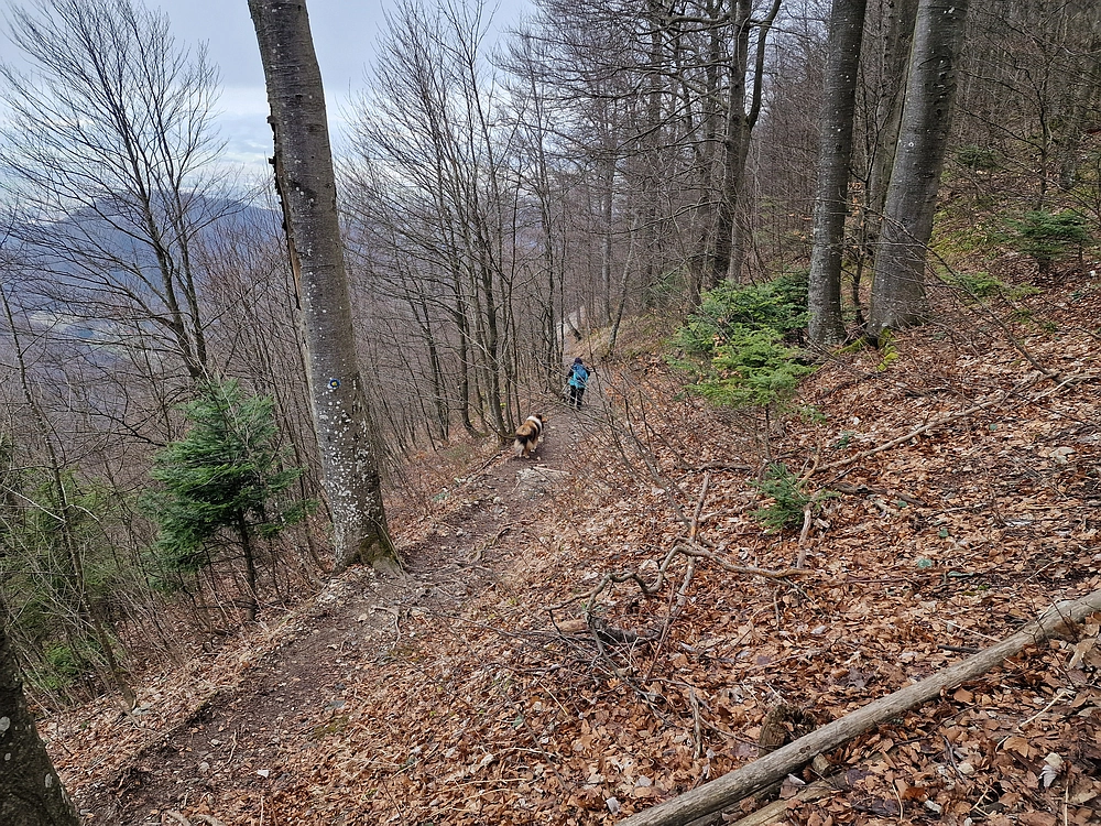 Slika je vidna v Google Chromu.