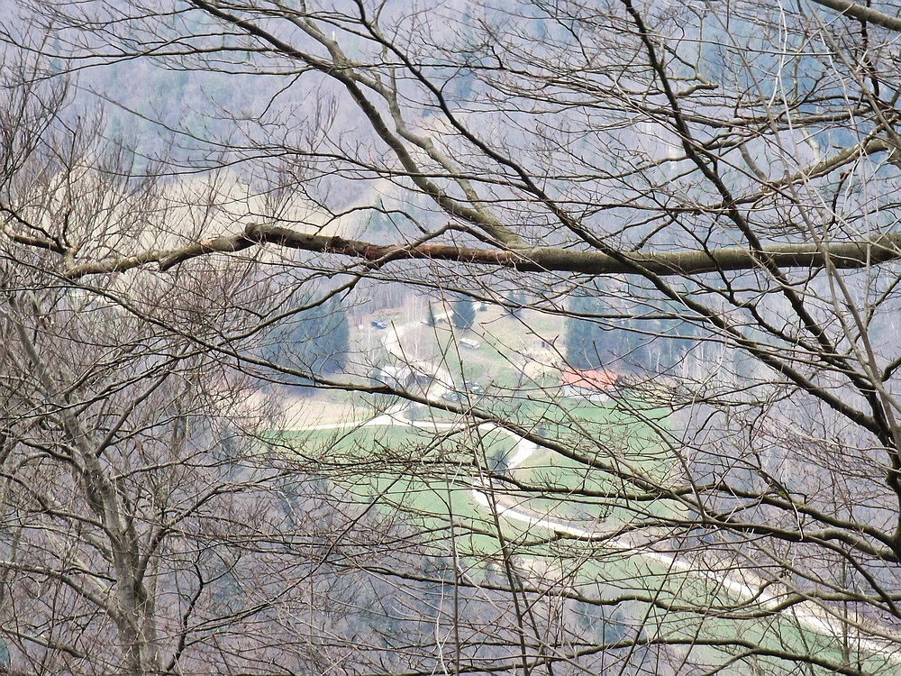 Slika je vidna v Google Chromu.