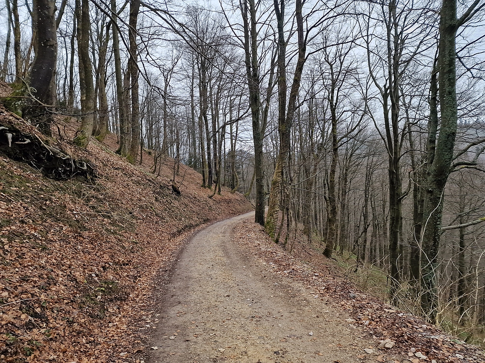 Slika je vidna v Google Chromu.