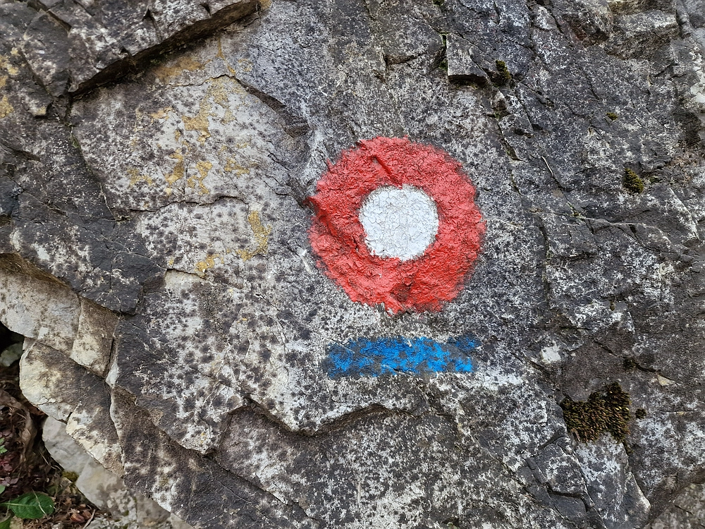 Slika je vidna v Google Chromu.