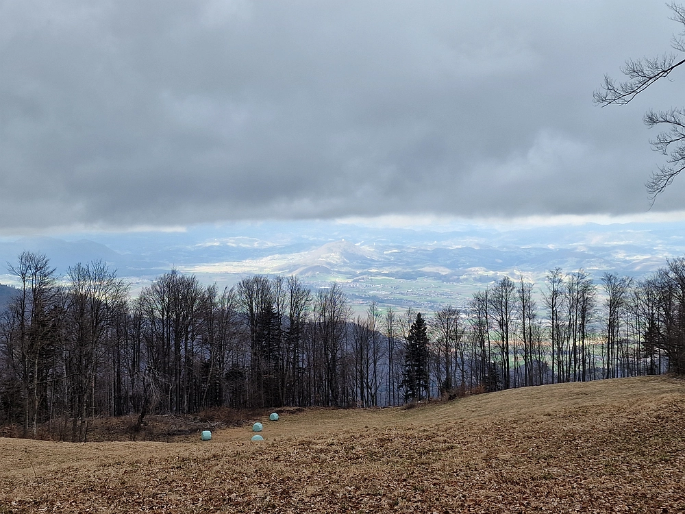 Slika je vidna v Google Chromu.