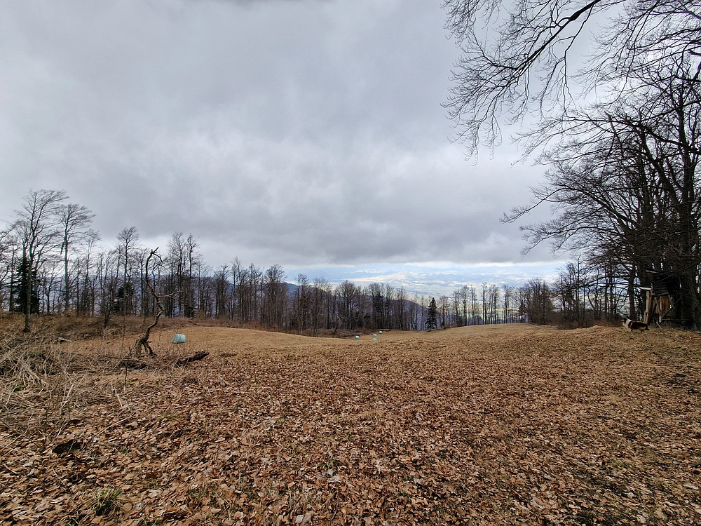 Slika je vidna v Google Chromu.