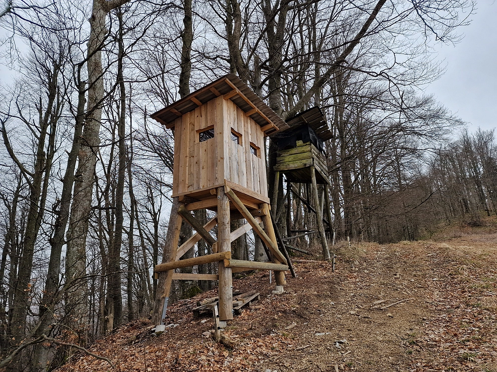 Slika je vidna v Google Chromu.