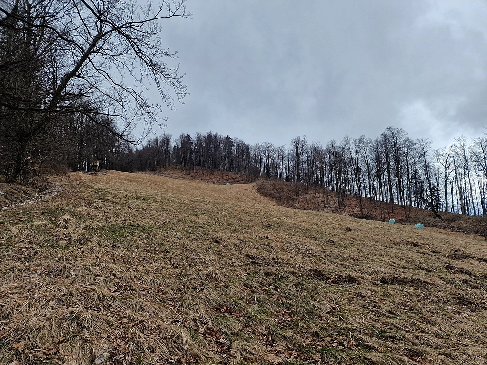 Slika je vidna v Google Chromu.