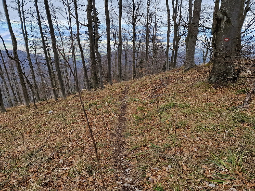 Slika je vidna v Google Chromu.