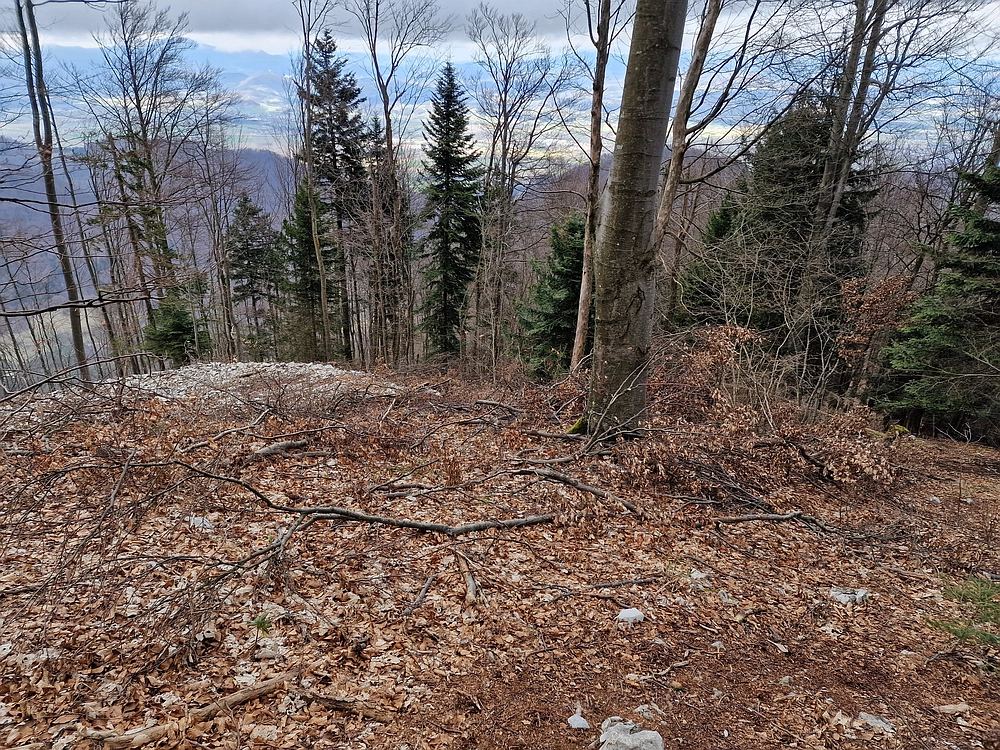 Slika je vidna v Google Chromu.