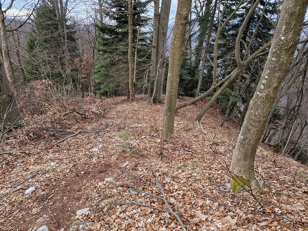 Slika je vidna v Google Chromu.