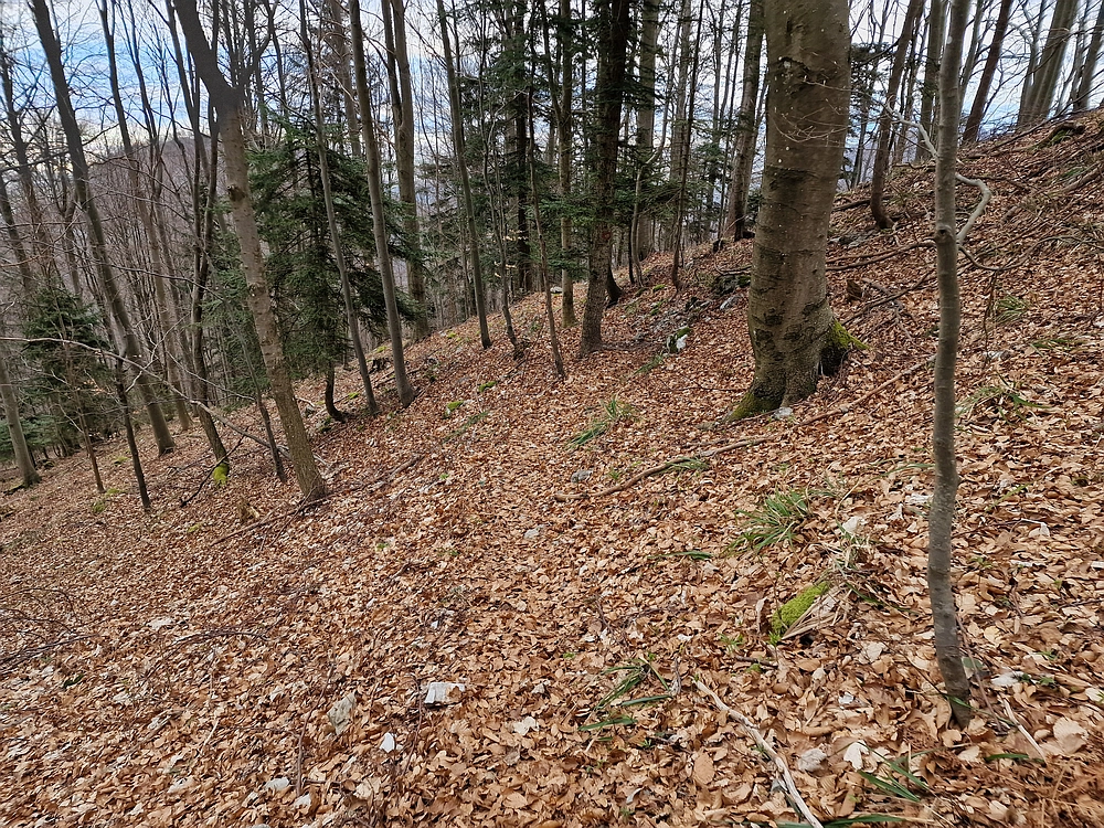 Slika je vidna v Google Chromu.