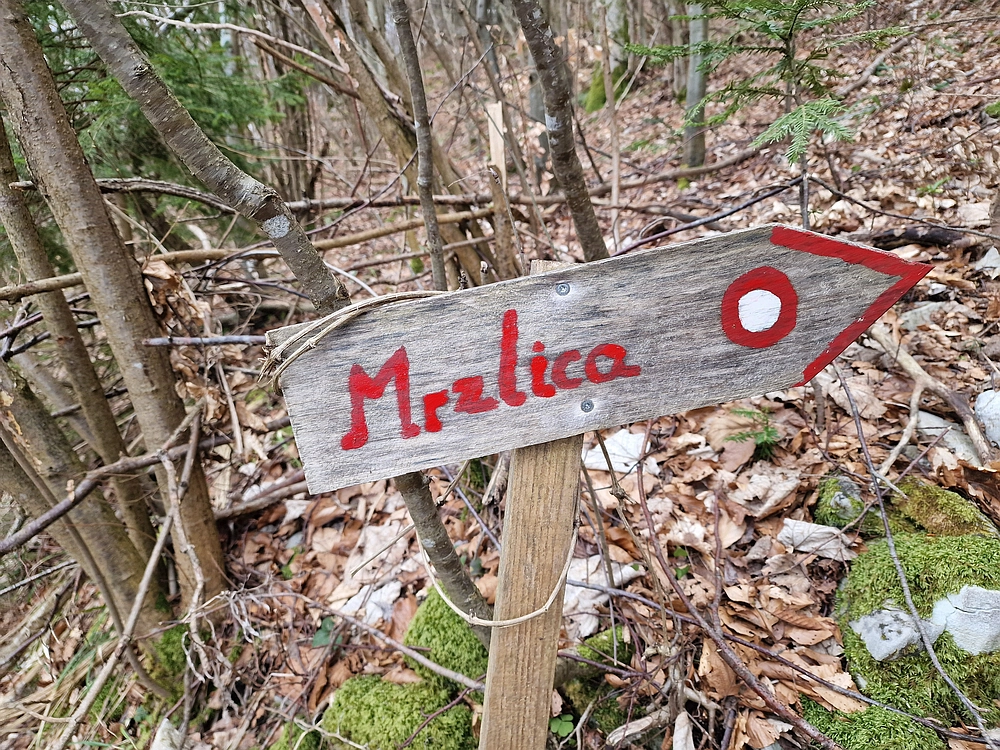 Slika je vidna v Google Chromu.