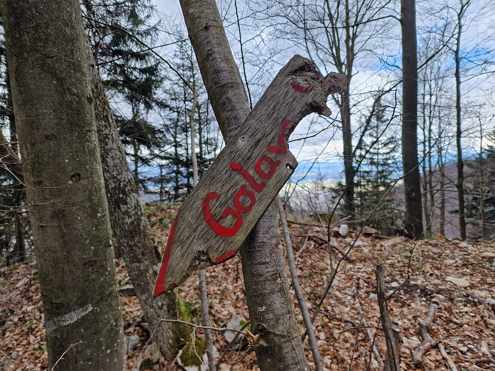 Slika je vidna v Google Chromu.