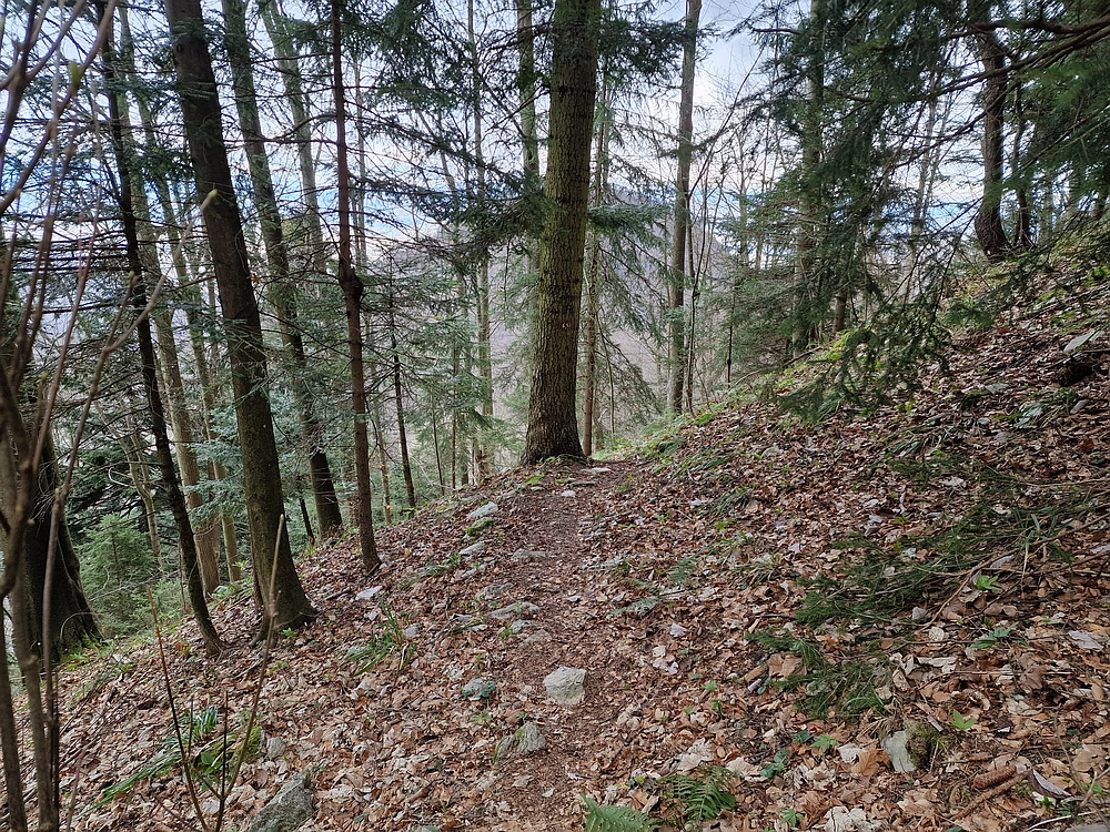 Slika je vidna v Google Chromu.