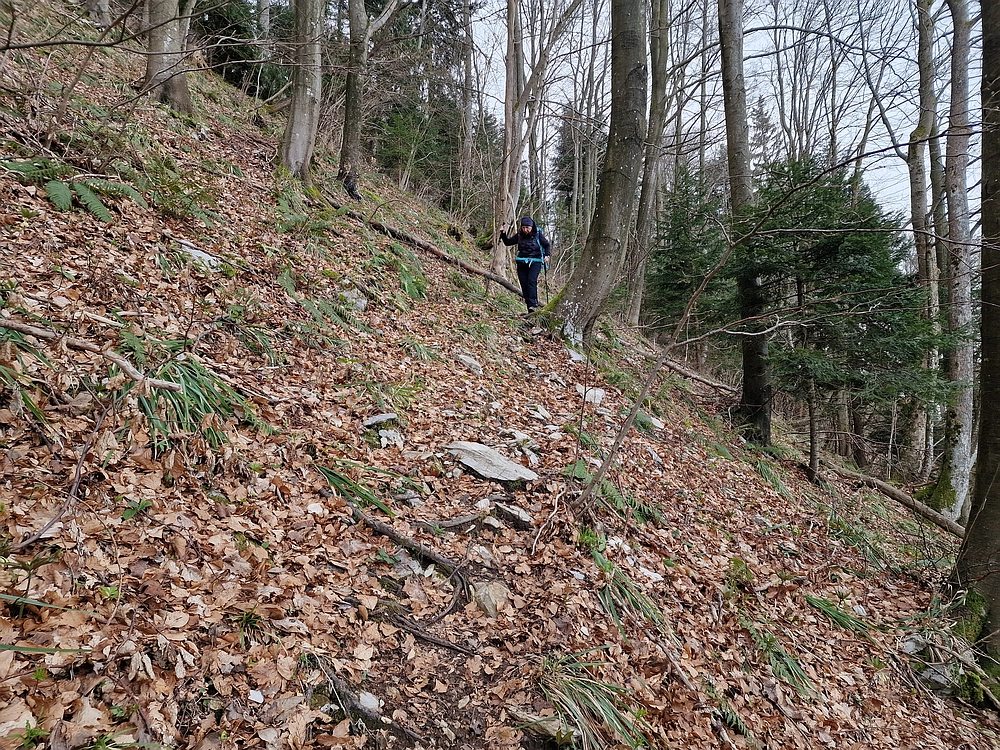 Slika je vidna v Google Chromu.