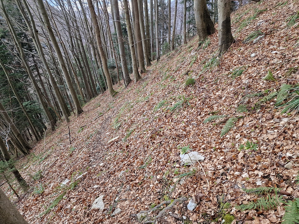 Slika je vidna v Google Chromu.