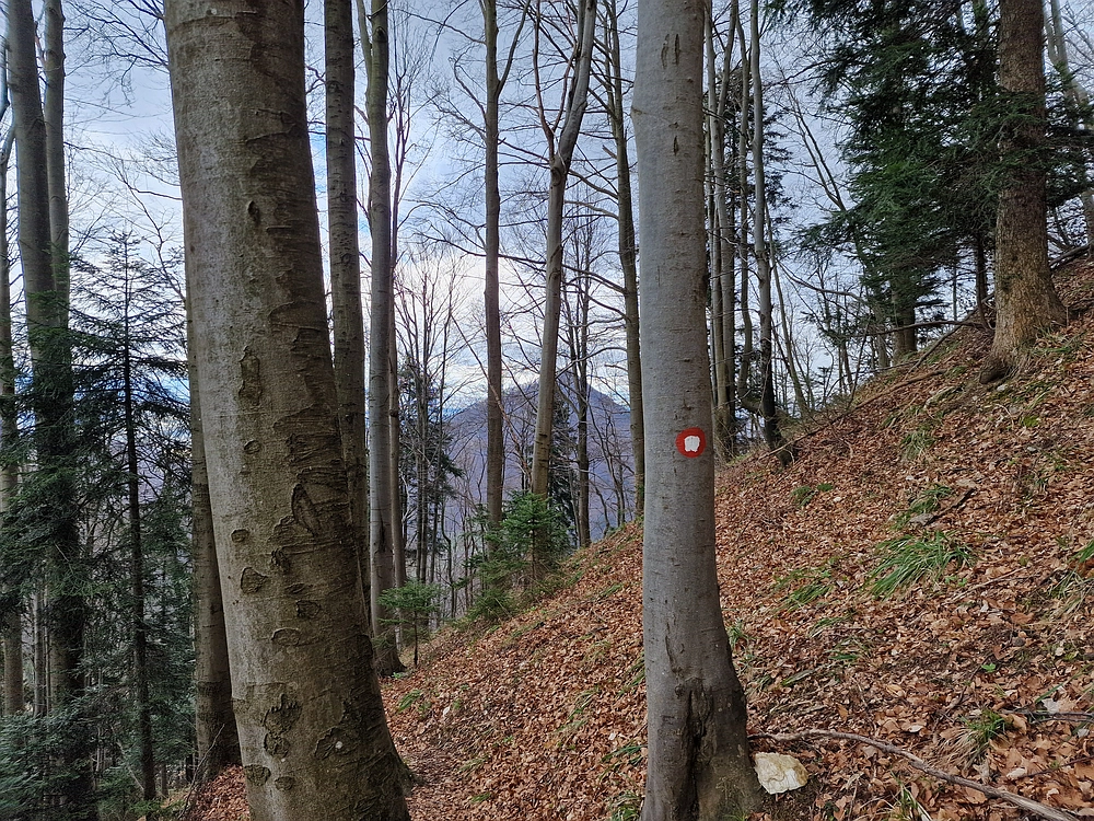 Slika je vidna v Google Chromu.