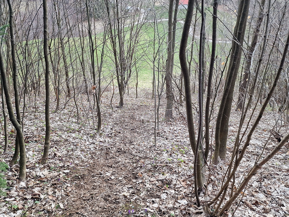 Slika je vidna v Google Chromu.