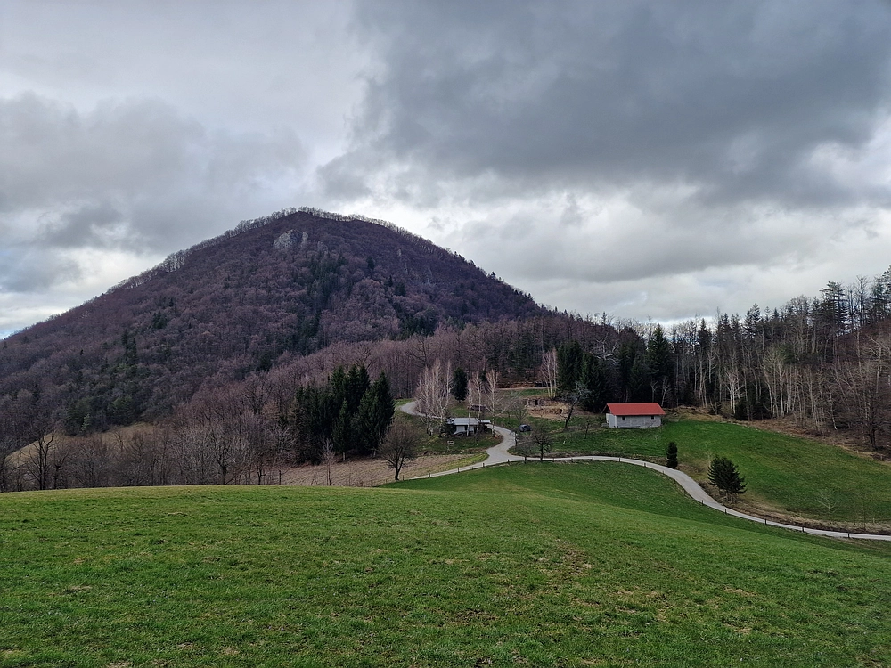 Slika je vidna v Google Chromu.