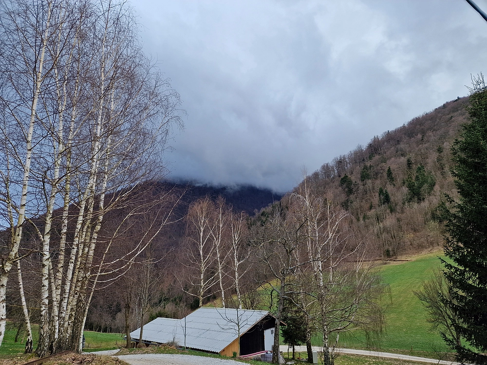 Slika je vidna v Google Chromu.