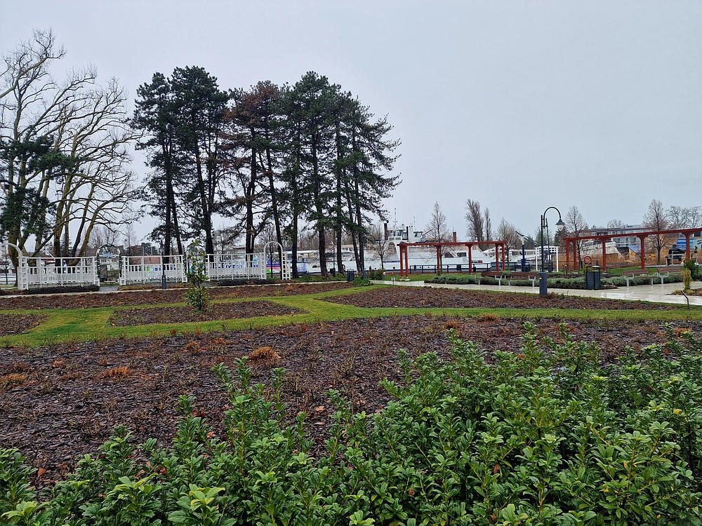 Slika je vidna v Google Chromu.