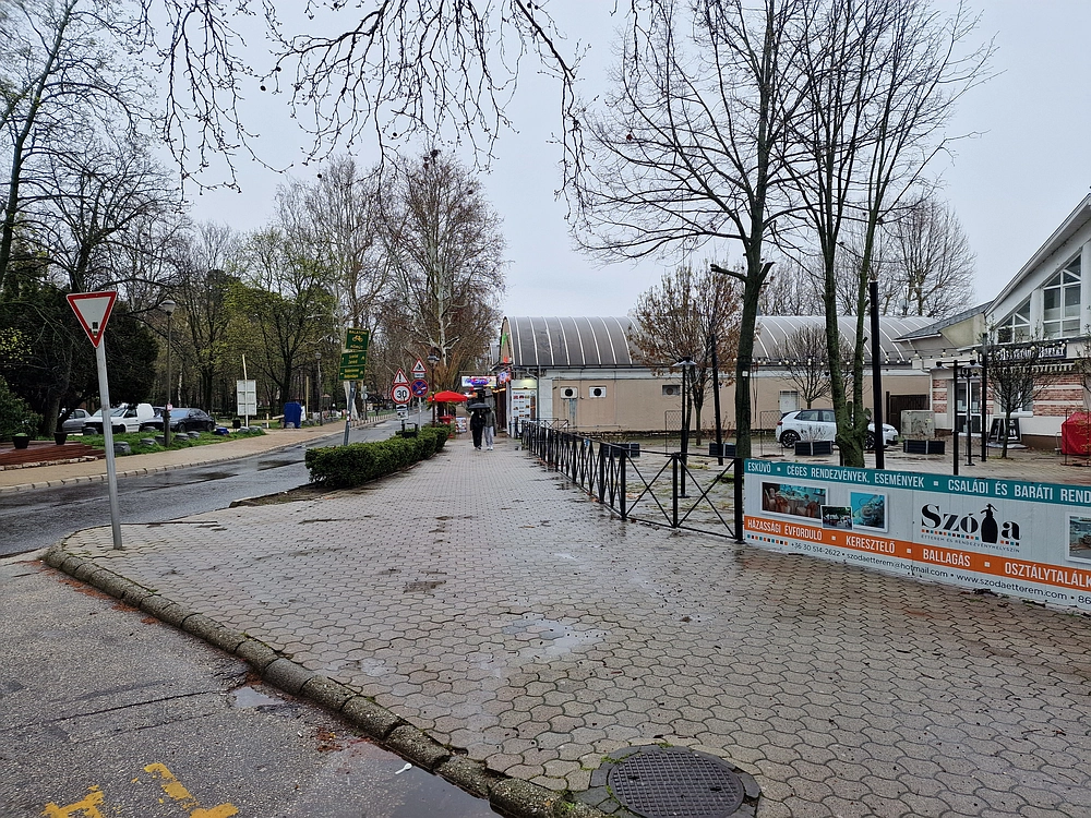 Slika je vidna v Google Chromu.