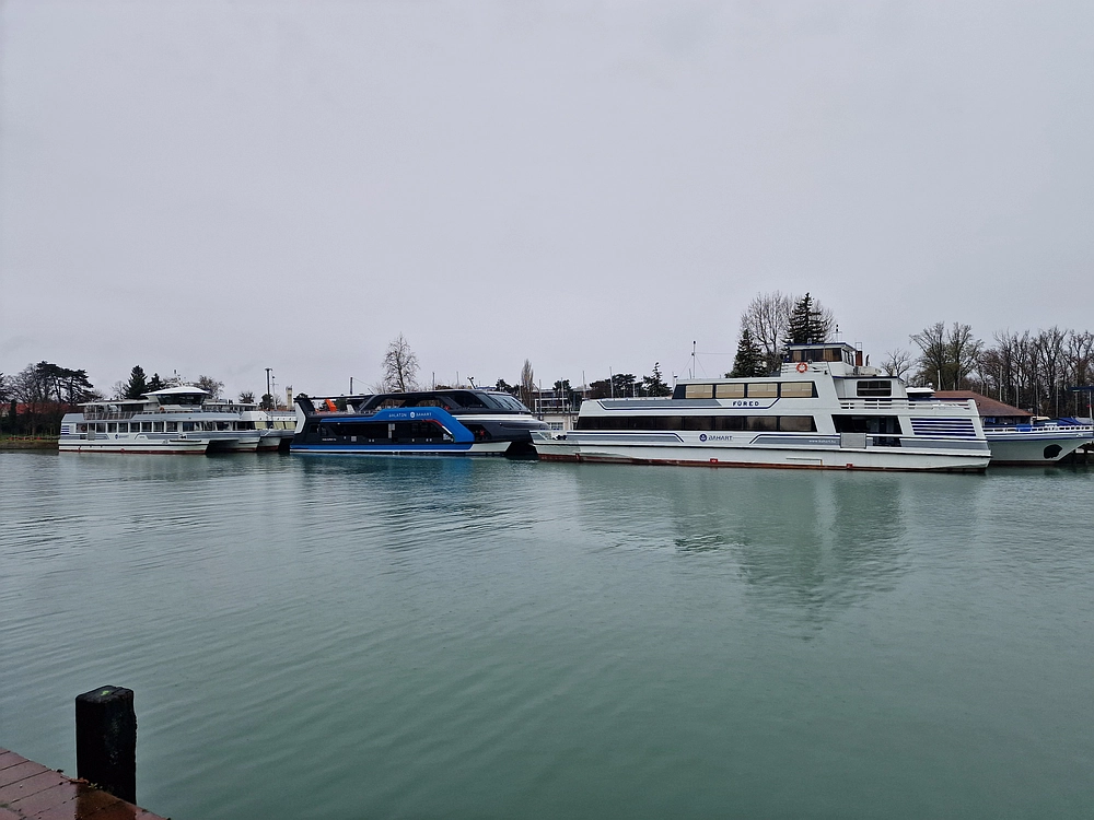 Slika je vidna v Google Chromu.